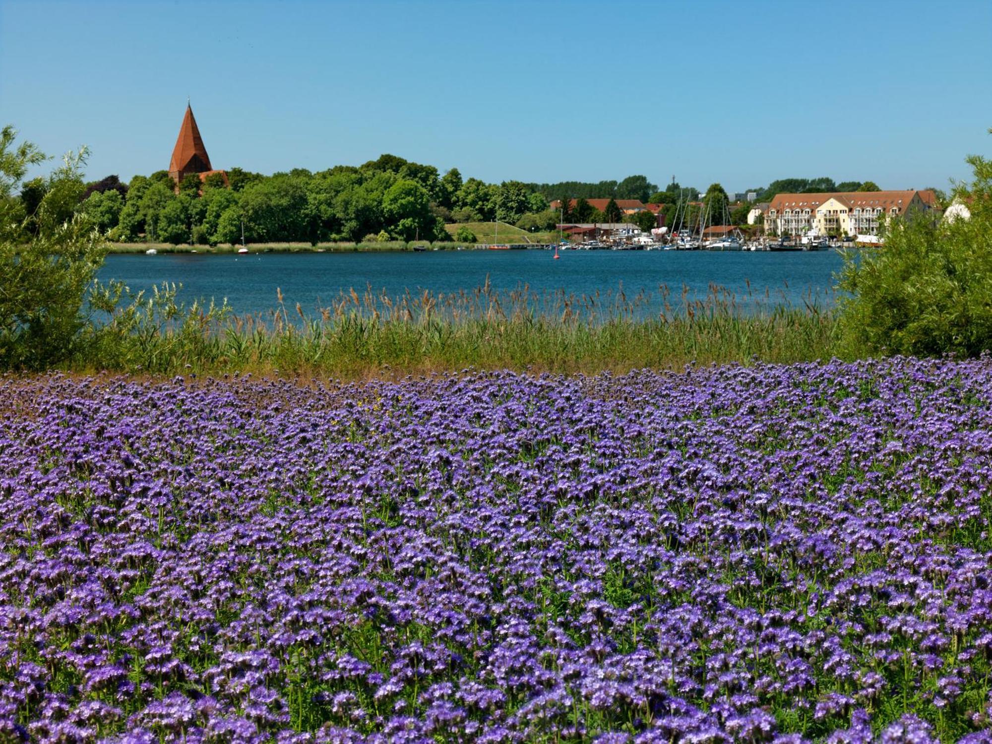Ferienwohnung Residenz Am Yachthafen Windspiel Kirchdorf  Exterior foto